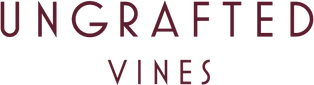 Ungrafted Vines